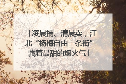 凌晨摘、清晨卖，江北“杨梅自由一条街”藏着最甜的烟火气